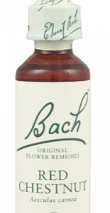 BACH RED CHESTNUT 20ml