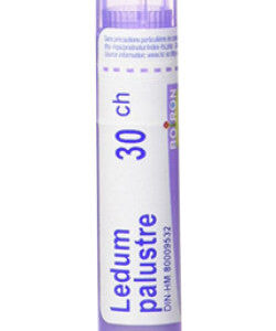 BOIRON LEDUM PALUSTRE 30CH 80pellets