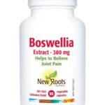 NEW ROOTS BOSWELLIA EXTRACT 380mg 90caps