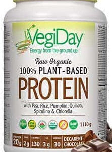 VEGIDAY RAW ORGANIC PLANT-BASED PROTEIN CHOCOLATE 1110g